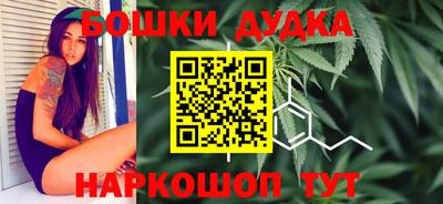 гидра Малгобек