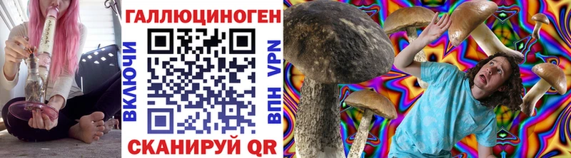 Псилоцибиновые грибы GOLDEN TEACHER  Якутск 