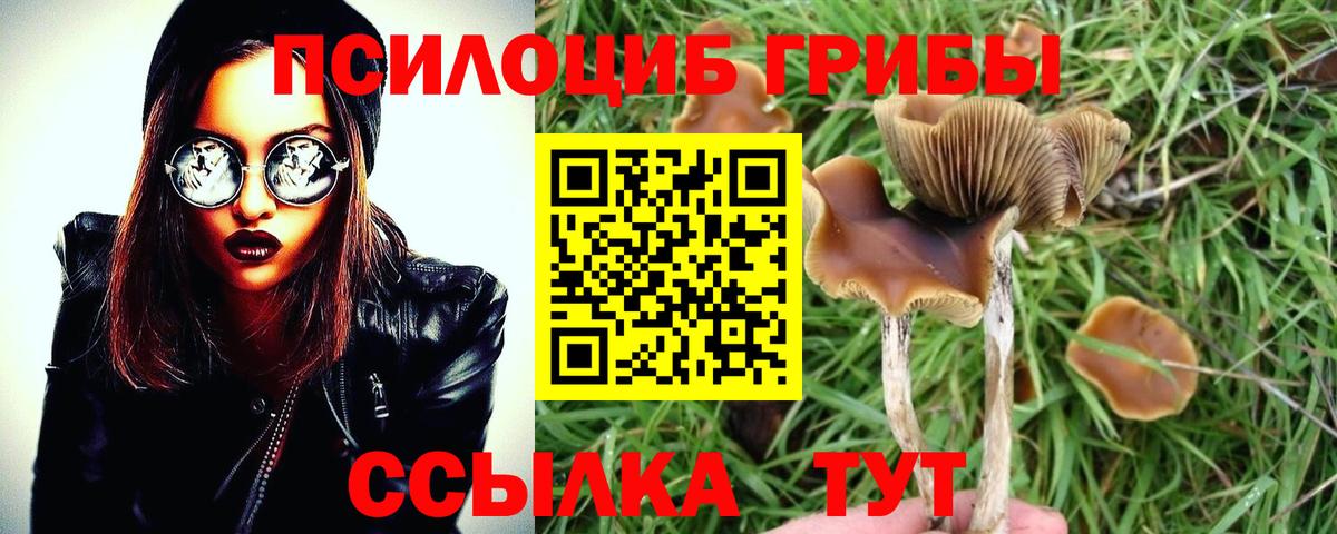 Псилоцибиновые грибы Psilocybe  как найти закладки  Якутск  Вход с VPN 