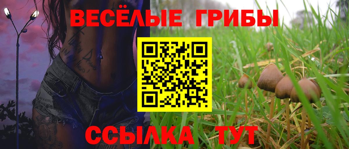 Псилоцибиновые грибы Magic Shrooms Якутск